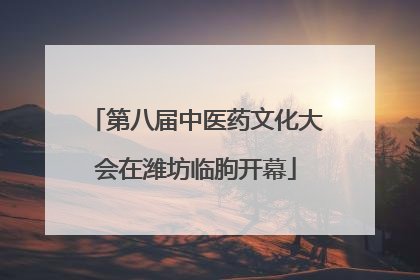 第八届中医药文化大会在潍坊临朐开幕