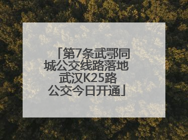 第7条武鄂同城公交线路落地 武汉K25路公交今日开通