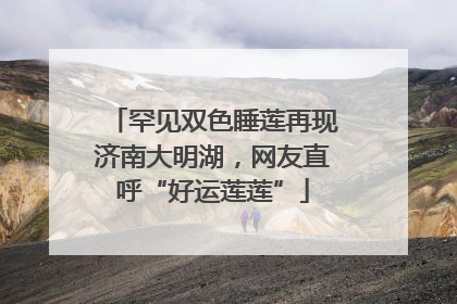 罕见双色睡莲再现济南大明湖，网友直呼“好运莲莲”