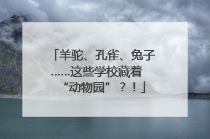 羊驼、孔雀、兔子……这些学校藏着 “动物园”？！