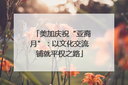 美加庆祝“亚裔月”：以文化交流铺就平权之路