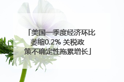 美国一季度经济环比萎缩0.2% 关税政策不确定性拖累增长