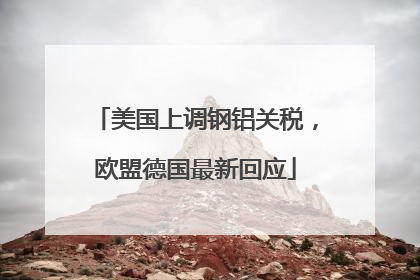 美国上调钢铝关税，欧盟德国最新回应