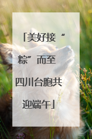 美好接“粽”而至 四川台胞共迎端午