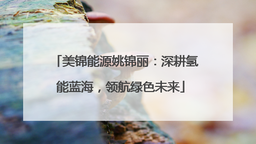 美锦能源姚锦丽：深耕氢能蓝海，领航绿色未来