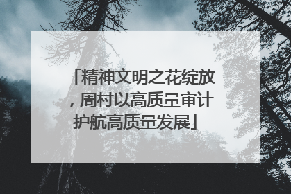 精神文明之花绽放，周村以高质量审计护航高质量发展