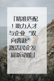 精准匹配！助力人才与企业“双向奔赴” 激活民企发展新动能