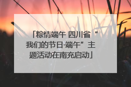 粽情端午 四川省“我们的节日·端午”主题活动在南充启动