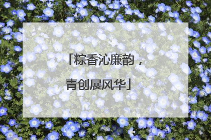 粽香沁廉韵，青创展风华