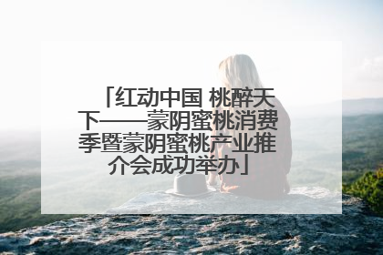 红动中国 桃醉天下——蒙阴蜜桃消费季暨蒙阴蜜桃产业推介会成功举办