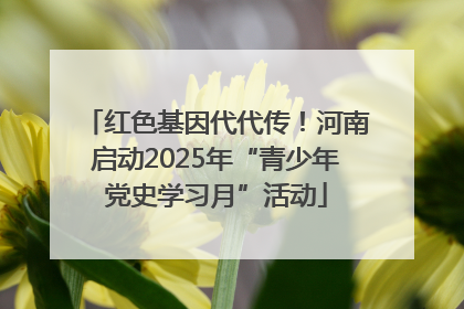 红色基因代代传！河南启动2025年“青少年党史学习月”活动