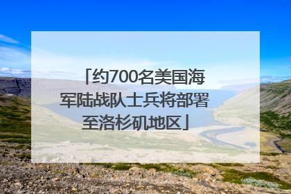 约700名美国海军陆战队士兵将部署至洛杉矶地区