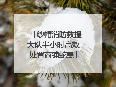 纱帽消防救援大队半小时高效处置商铺蛇患