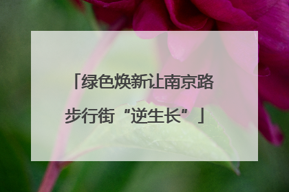绿色焕新让南京路步行街“逆生长”