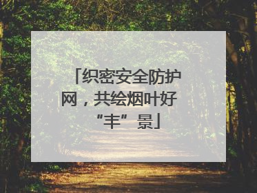 织密安全防护网，共绘烟叶好“丰”景
