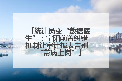 统计员变“数据医生”：宁阳前置纠错机制让审计报表告别“带病上岗”