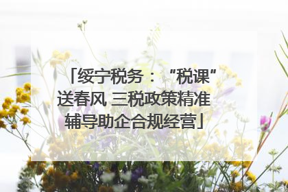 绥宁税务：“税课”送春风 三税政策精准辅导助企合规经营