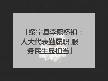 绥宁县李熙桥镇：人大代表勤履职 服务民生显担当