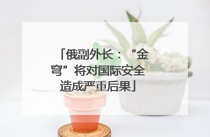 俄副外长：“金穹”将对国际安全造成严重后果