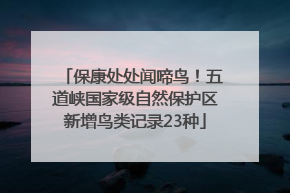 保康处处闻啼鸟！五道峡国家级自然保护区新增鸟类记录23种
