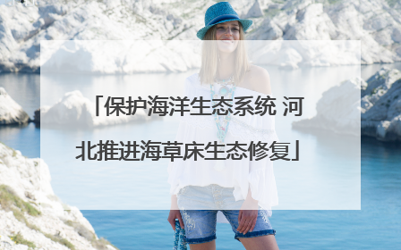 保护海洋生态系统 河北推进海草床生态修复