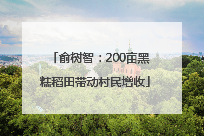 俞树智：200亩黑糯稻田带动村民增收
