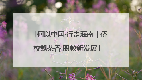 何以中国·行走海南｜侨校飘茶香 职教新发展
