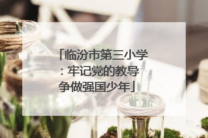 临汾市第三小学：牢记党的教导 争做强国少年