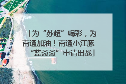 为“苏超”喝彩，为南通加油！南通小江豚“蓝叒叒”申请出战