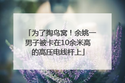 为了掏鸟窝！余姚一男子被卡在10余米高的高压电线杆上