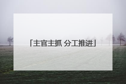 主官主抓 分工推进