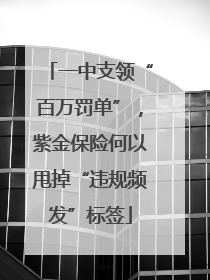 一中支领“百万罚单”，紫金保险何以甩掉“违规频发”标签