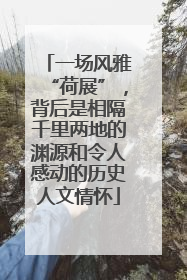 一场风雅“荷展”，背后是相隔千里两地的渊源和令人感动的历史人文情怀