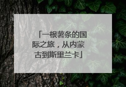 一根薯条的国际之旅，从内蒙古到斯里兰卡