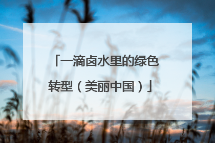 一滴卤水里的绿色转型（美丽中国）