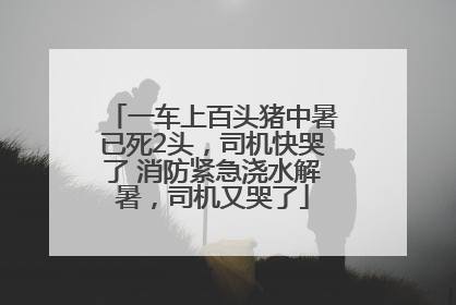 一车上百头猪中暑已死2头，司机快哭了 消防紧急浇水解暑，司机又哭了
