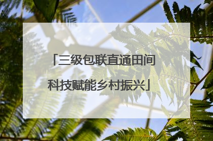 三级包联直通田间 科技赋能乡村振兴