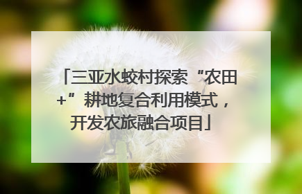 三亚水蛟村探索“农田+”耕地复合利用模式，开发农旅融合项目