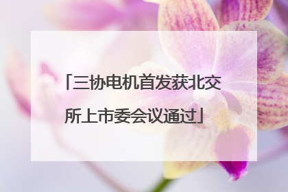 三协电机首发获北交所上市委会议通过