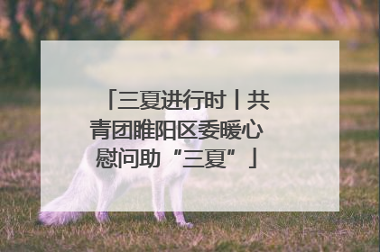 三夏进行时丨共青团睢阳区委暖心慰问助“三夏”