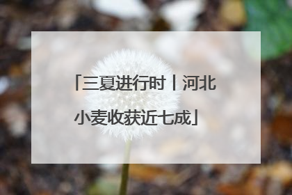 三夏进行时丨河北小麦收获近七成