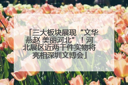 三大板块展现“文华燕赵 美丽河北”！河北展区近两千件实物将亮相深圳文博会