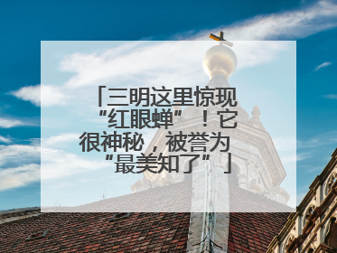 三明这里惊现“红眼蝉”！它很神秘，被誉为“最美知了”