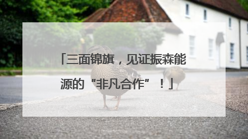 三面锦旗，见证振森能源的“非凡合作”！