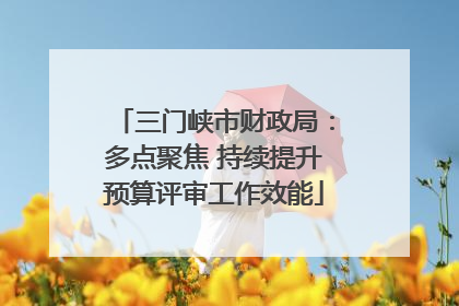 三门峡市财政局：多点聚焦 持续提升预算评审工作效能
