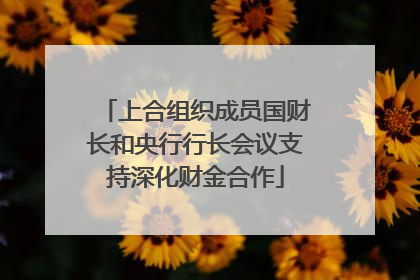 上合组织成员国财长和央行行长会议支持深化财金合作
