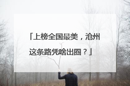 上榜全国最美，沧州这条路凭啥出圈？