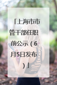 上海市市管干部任职前公示（6月5日发布）