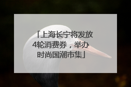上海长宁将发放4轮消费券，举办时尚国潮市集