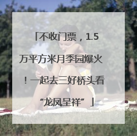 不收门票，1.5万平方米月季园爆火！一起去三好桥头看“龙凤呈祥”